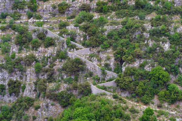 ヴラドレト地域の峡谷のパノラマビュー ヴィコスで ギリシャのアオス国立公園 — ストック写真