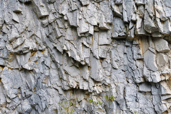 Detalle Del Bosque Piedra Cerca Monodendri Epiro Grecia — Foto de Stock