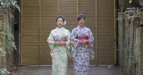Beautiful Japanese Women Welcome You Japan — Stock Video