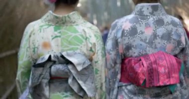Güzel kızlara Kimono içinde bambu ormanın içinde yürümek