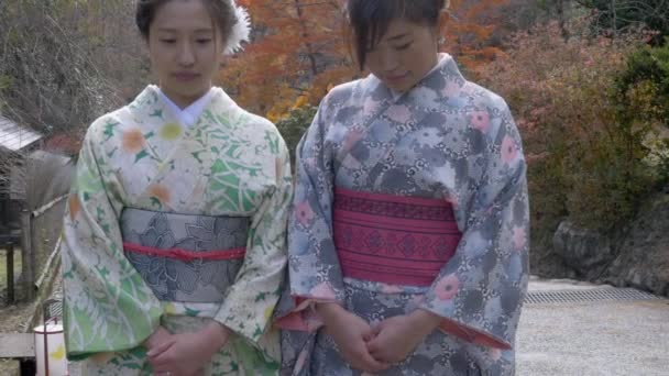 Hermosas Mujeres Japonesas Sonrientes Autum — Vídeos de Stock