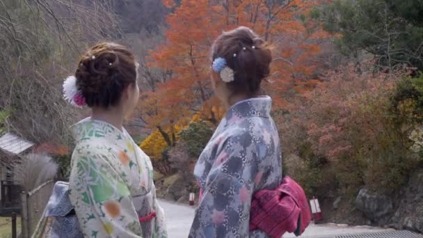 Hermosas Mujeres Japonesas Jóvenes Vez Para Sonreír Cámara — Vídeos de Stock