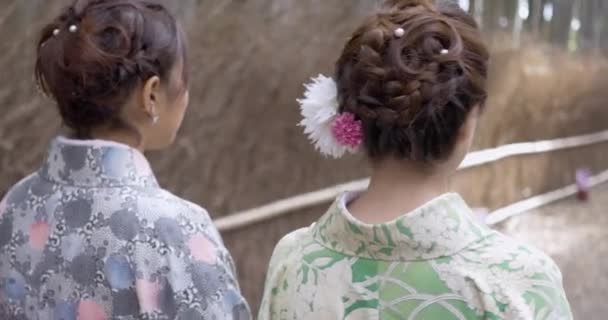 Seguindo Belas Mulheres Japonesas Bambu Frorest — Vídeo de Stock