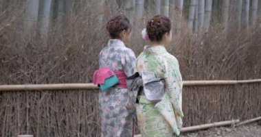 Japon kadınları Kyoto bambu koruda yürümeye