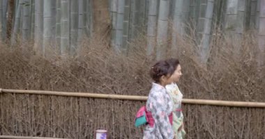 Kyoto bambu ormanı yürüyüşe kimono kadınlar