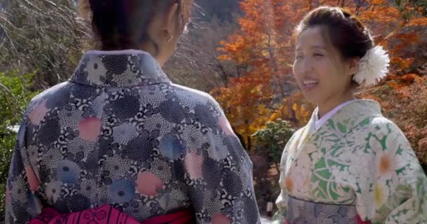 Hübsche Japanische Frauen Unterhalten Sich Kyoto Park — Stockvideo