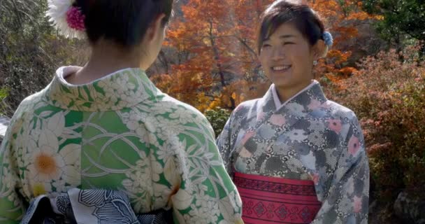 Pretty Japanese Women Enjoying Autum Weather — Stock Video