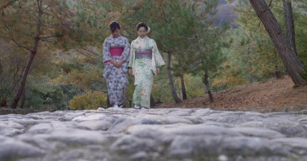Красивые Японки Идут Старой Каменной Тропинке — стоковое видео
