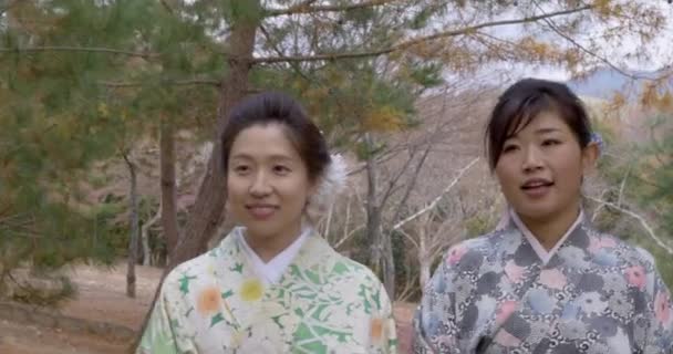 Krásné mladé japonské ženy procházky v parku