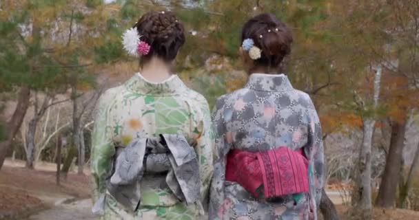 Ιαπωνικά Νεανίδων Περπατώντας Μέσα Από Ένα Πάρκο Στο Κιότο — Αρχείο Βίντεο