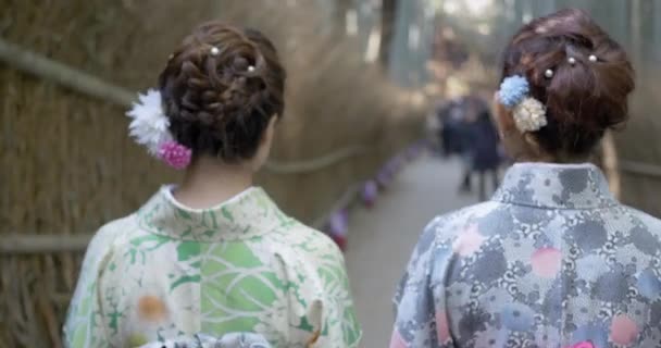 Японские Девушки Проходят Через Бамбуковую Рощу — стоковое видео