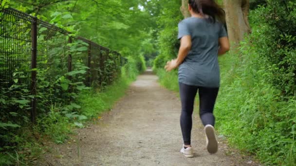 Mujer India Corre Por Camino Verde Exuberante Cámara Lenta — Vídeos de Stock