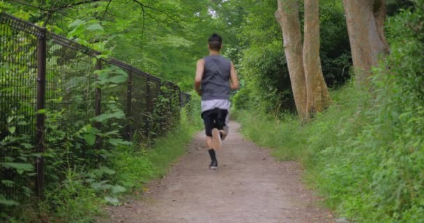 Japonés Hombre Corre Por Hermoso Camino Verde — Vídeo de stock