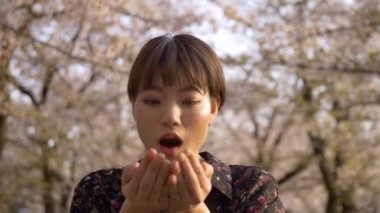 Sakura üfleme güzel bir Japon kadın onun elinden bırakır.