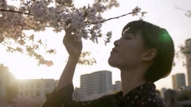 Güzel bir Japon kadın kokulu sakura, gün batımı. 