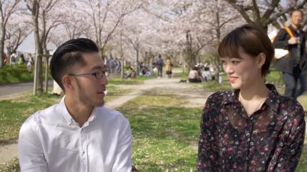 Beaux Amis Dans Parc Japonais Fleur Cerisier — Video