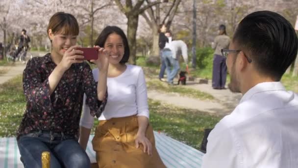 Belos Amigos Falando Fotos Piquenique Flor Cereja — Vídeo de Stock