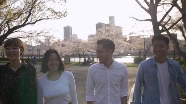 Hermosos Amigos Caminando Por Parque Flores Cerezo Primavera — Vídeos de Stock