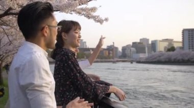 Sakura, sohbet arkadaşları ile güzel nehir.
