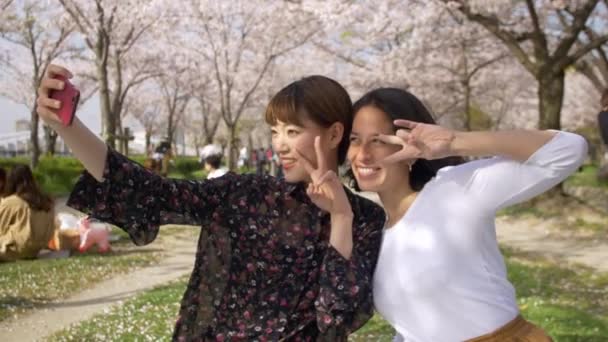 Beaux Selfies Amis Multi Ethniques Pique Nique Sakura — Video