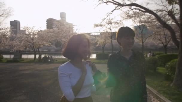 Hermosas Mujeres Multiétnicas Caminando Por Parque Flores Cerezo — Vídeo de stock