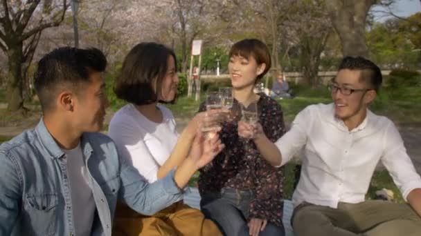 Célébration Dans Parc Japonais Sakura Avec Des Amis Internationaux — Video