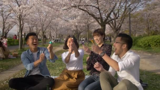 Празднование Японском Парке Сакуры Международными Друзьями — стоковое видео