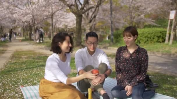 可爱的朋友在樱花树下分享食物 — 图库视频影像