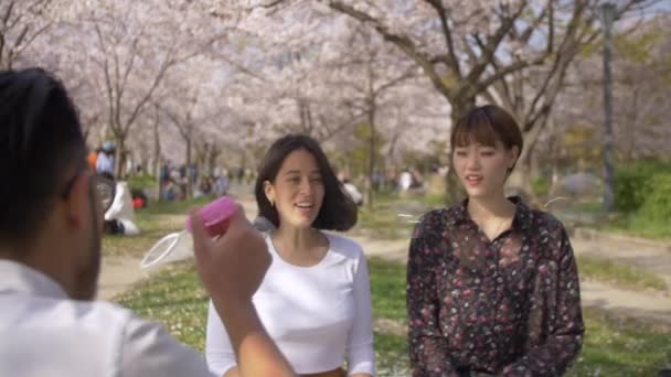 Freunde Amüsieren Sich Beim Kirschblütenpicknick — Stockvideo