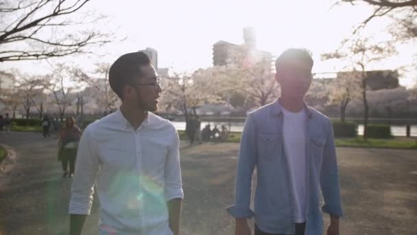 Hermosos Hombres Asiáticos Caminando Juntos Parque Flores Cerezo — Vídeos de Stock