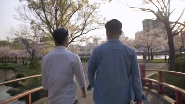 Hermosos Hombres Asiáticos Caminando Juntos Parque Flores Cerezo — Vídeo de stock