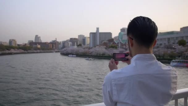 Schöner Mann Der Fotos Der Schönen Sakura Von Einer Brücke — Stockvideo