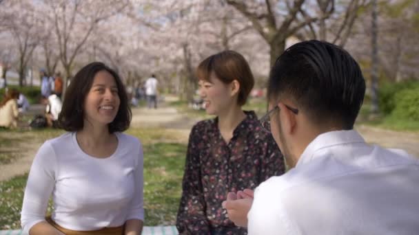 Internationella Vänner Att Kul Cherry Blossom Träd — Stockvideo