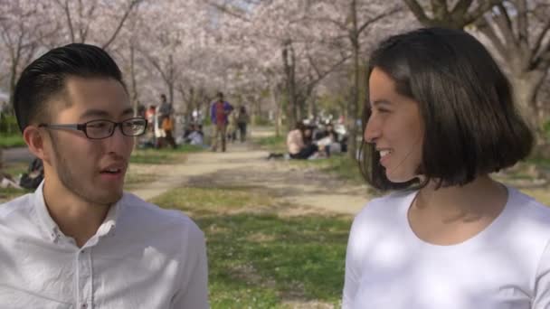 Internationella Vänner Japanska Cherry Blossom Park — Stockvideo