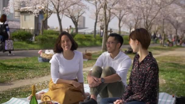 Gente Internacional Haciendo Picnic Bajo Árboles Cerezo — Vídeos de Stock