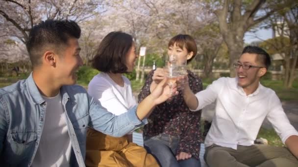 Amigos Japoneses Internacionales Celebran Primavera Bajo Flores Cerezo — Vídeo de stock