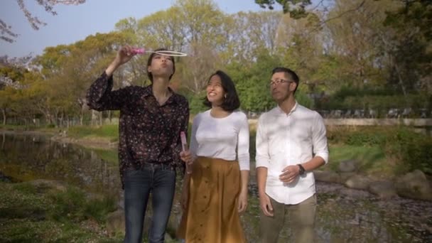 Japansk Flicka Blåser Bubblor Med Vänner Våren Picknick — Stockvideo