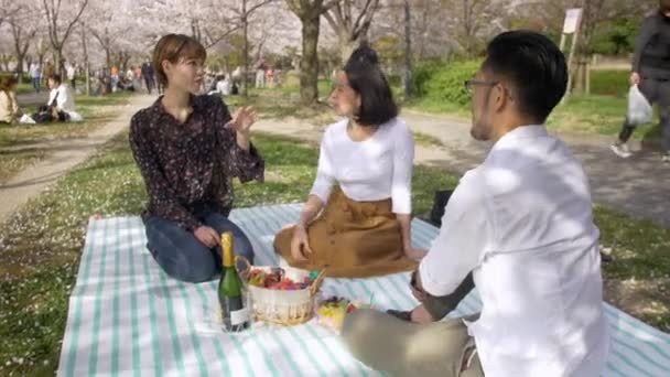 Japanischer Sakura Park Mit Internationalen Freunden Picknick — Stockvideo