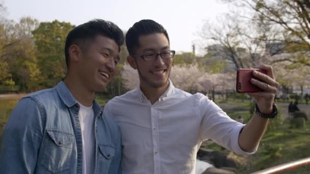 Selfie Amigos Multi Étnicos Parque Flor Cereja — Vídeo de Stock