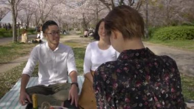 Kiraz çiçeği Park Internationl arkadaşlarıyla piknik.