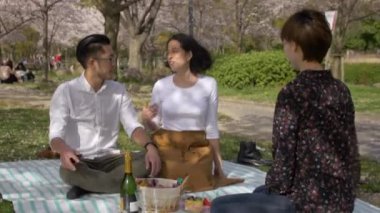 Kiraz çiçeği Park Internationl arkadaşlarıyla piknik.