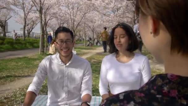 Sakura Picnic Con Hermosos Amigos — Vídeo de stock