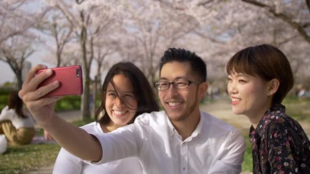 Hermosos Amigos Tomando Selfies Bajo Árboles Cerezo — Vídeo de stock