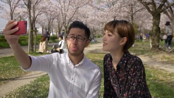 Amigos Atractivos Tomando Selfies Picnic Sakura — Vídeos de Stock