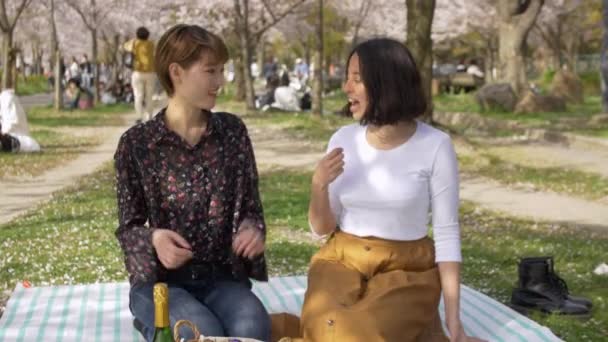 Vackra Flickor Äta Jordgubbar Japanska Sakura Picknick — Stockvideo