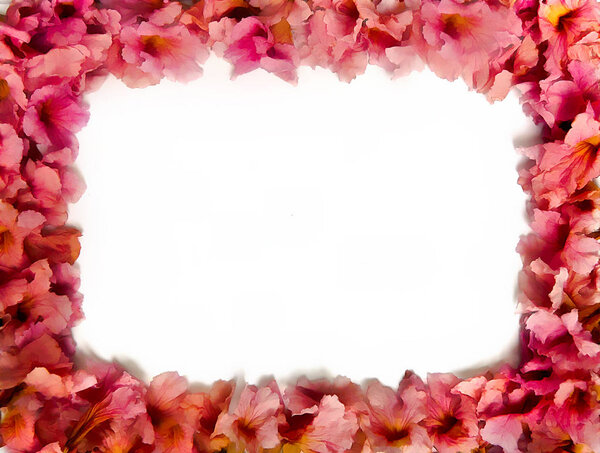 Красивая розовая рамка из розовых труб для праздника Святого Валентина
,