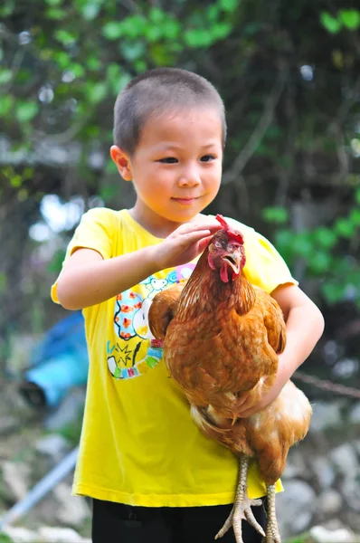 Küçük çocuk bir tavuk koluna taşıyan
