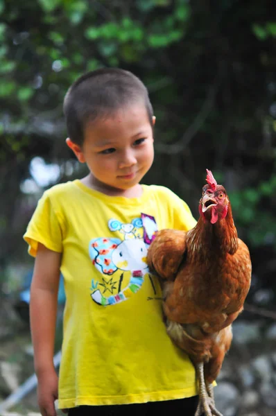 Koluna bir tavuk taşıyan gülen Asyalı çocuk yukarı kapalı