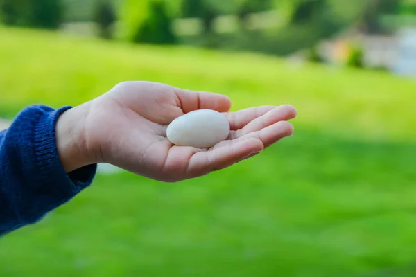 O, yeşil çimlerde oynarken kızın eli elinde beyaz bir taş tutuyor..