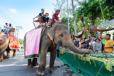 Surin, Tayland - 15 Kasım 2019: Filler bir sürü hazır meyve yiyorlar. Fil yemek festivalinde. Turistler de fillerin sırtına biniyor..